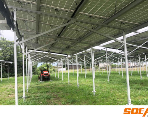 Soeasy Solar offers Agri-PV & PV Agriculture mounting systems with 17-year production expertise.