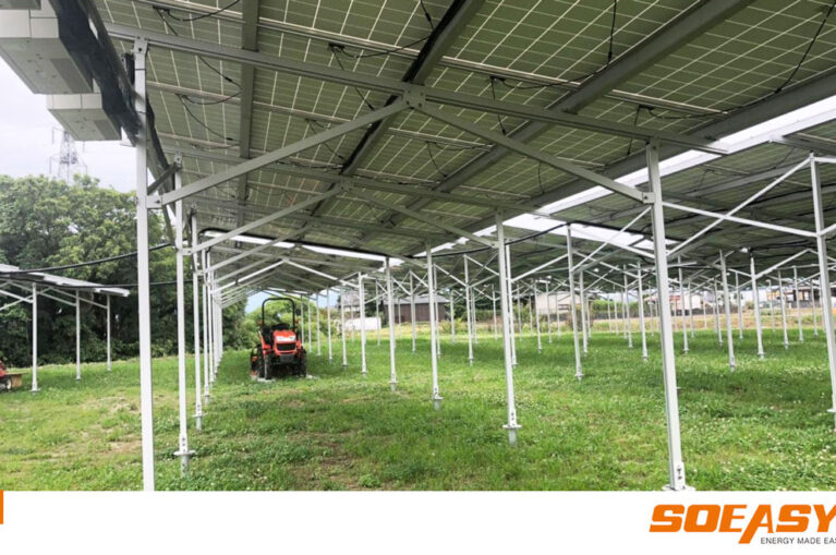 Soeasy Solar offers Agri-PV & PV Agriculture mounting systems with 17-year production expertise.