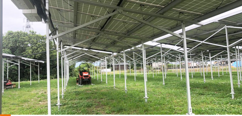 Soeasy Solar offers Agri-PV & PV Agriculture mounting systems with 17-year production expertise.